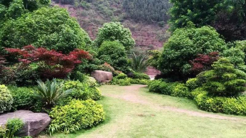 观赛方式说明服务配图