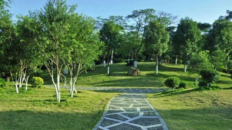全球总决赛入围赛时间怎么查?赛程安排与观赛要点解析